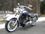darrell_hd_softail.jpg (18543 bytes)
