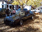shawn_monte_carlo_ss.jpg (10724 bytes)
